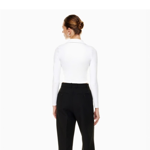 Aritzia Contour Polo Longsleeve - Picture 5 of 6